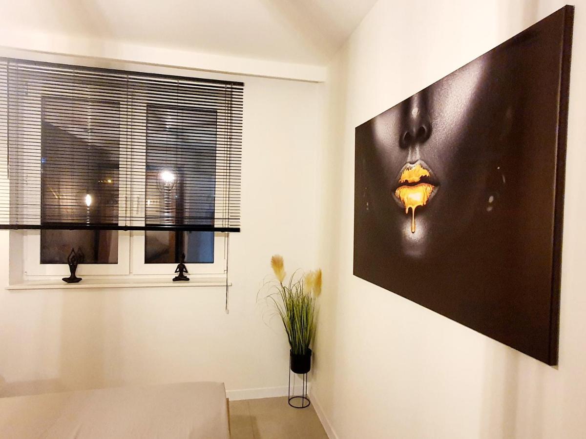 Konopnickiej 88 Cosy Apartment Sosnowiec Exterior foto